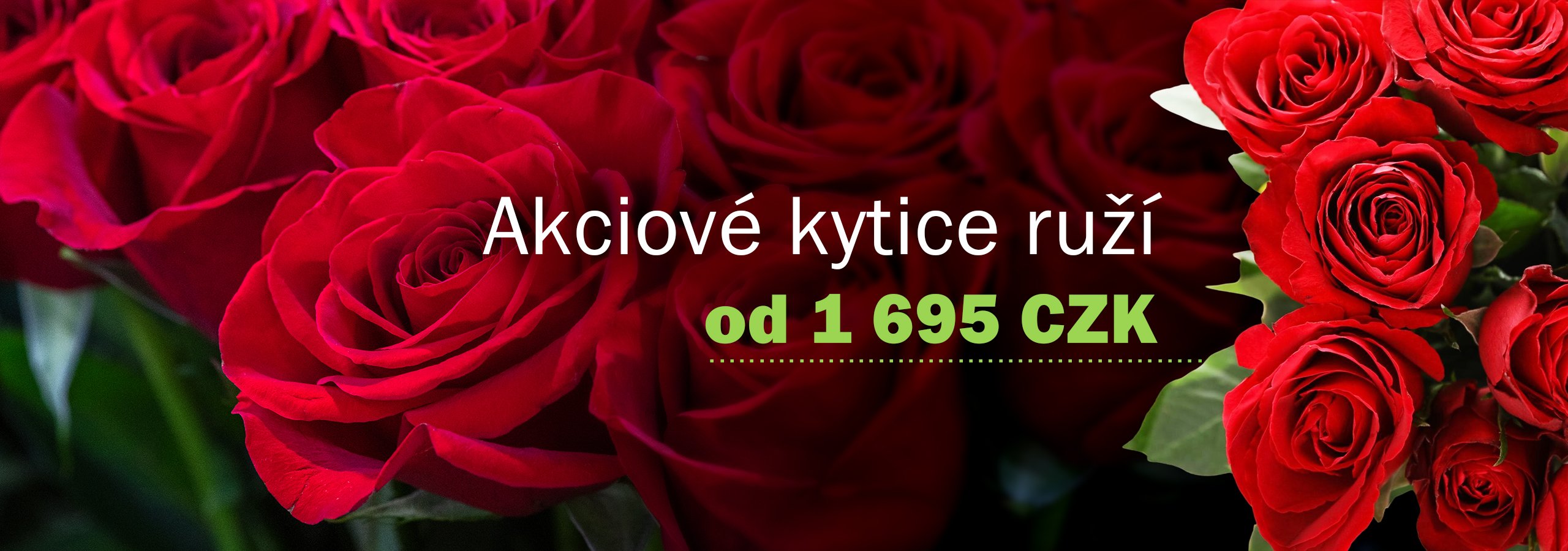 Akčné pugéty ruží | AMVOR