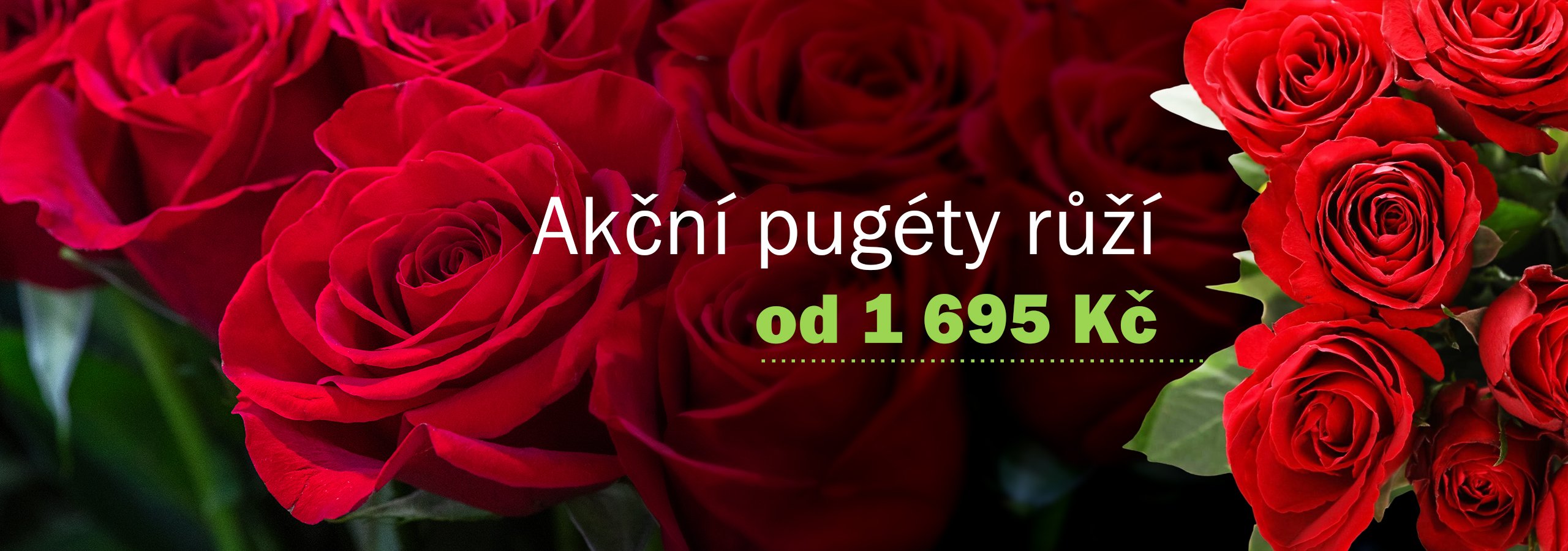 Květiny AMVOR | Akční pugéty růží