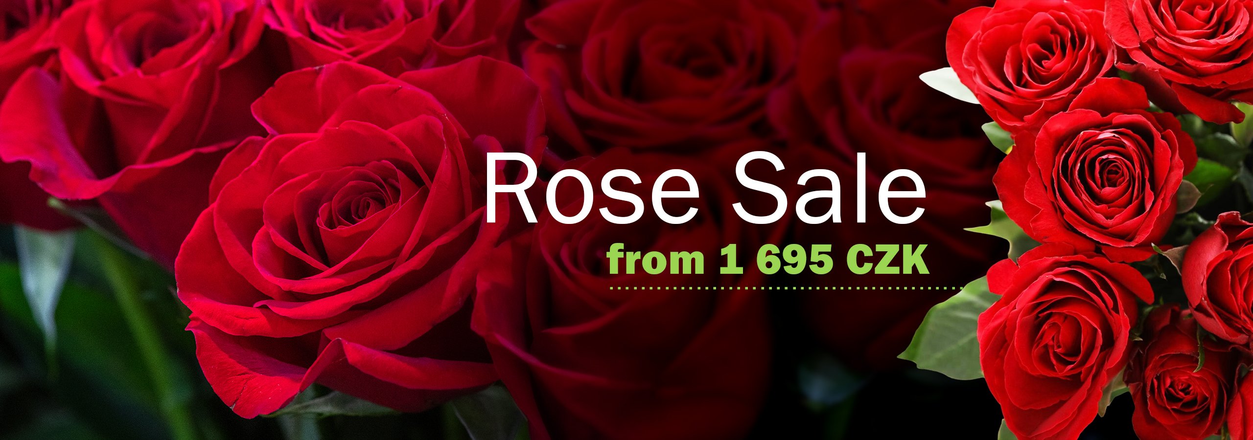 AMVOR Florists | Rose Sale