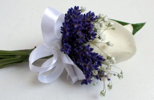 svatebni_31